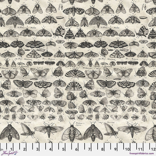 Palette Charcoal Moths in Charcoal by Tim Holtz for Freespirit - Sold by the Half Yard