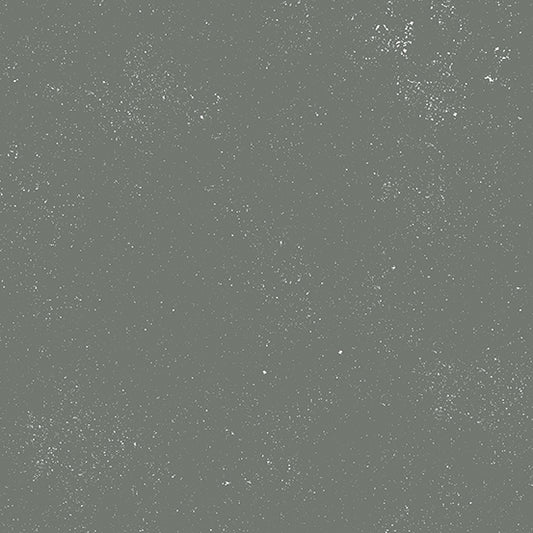 Spectrastatic Continuum Sharkskin Half Yard by Giucy Giuce for Andover A-9248-C2